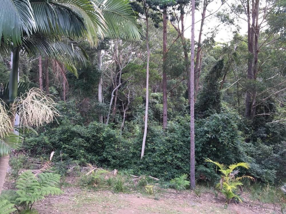 梅普尔顿小屋及大篷车公园酒店 外观 照片